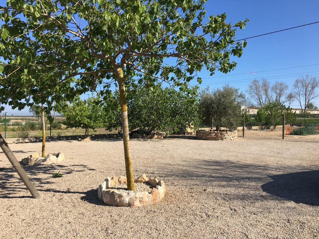 Caseta Les Creus 利乌玛 外观 照片