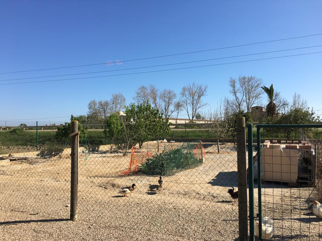 Caseta Les Creus 利乌玛 外观 照片